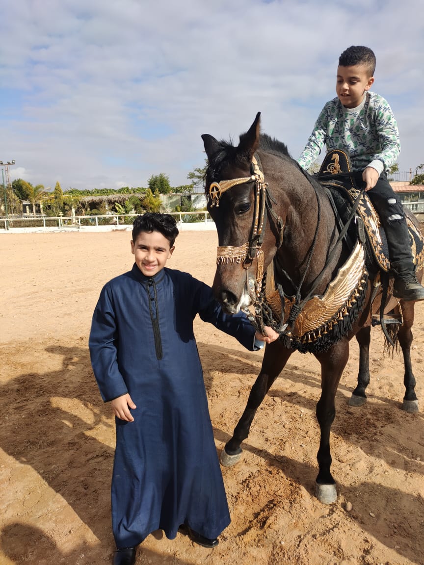 ملتقي الحصان العربي (9)