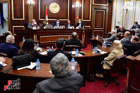 أجتماع لجنة الصحة بمجلس الشيوخ (2)