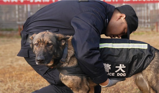سلاح الكلاب فى الشرطة الصينية