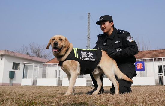 تدريب الكلاب فى الصين