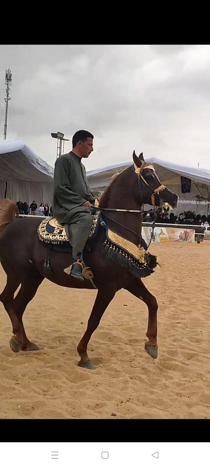 ملتقي الحصان العربي (2)