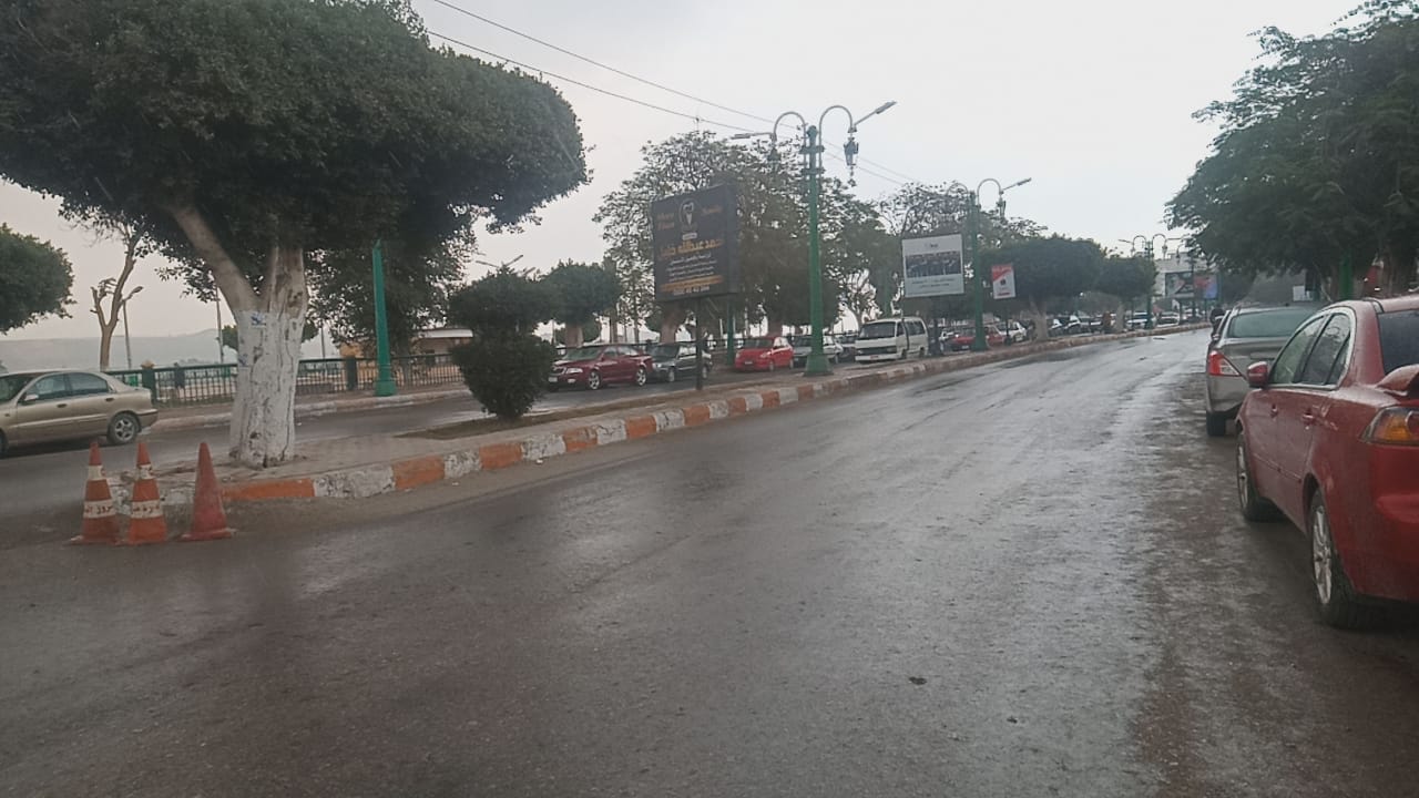 أمطار خفيفة بمختلف مدن المنيا (3)