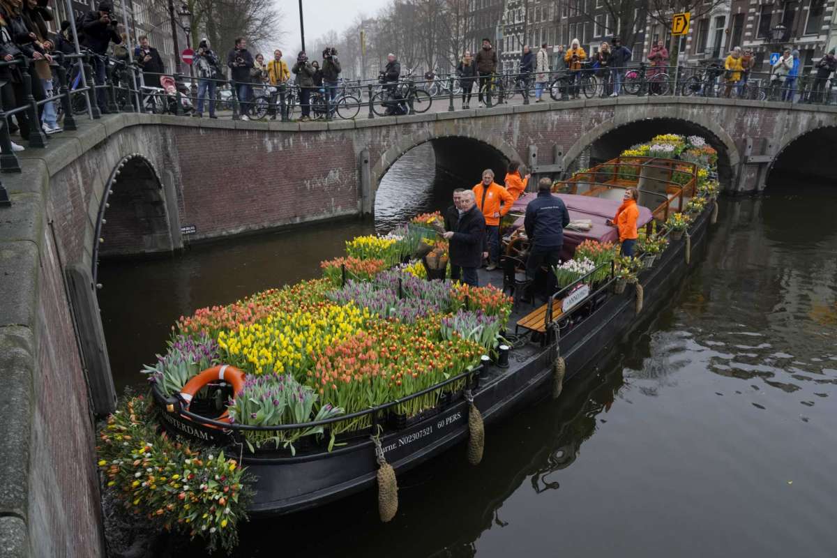 توزيع الزهور على المواطنين