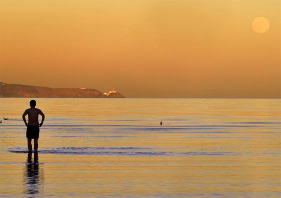 رجل ينظر إلى ذئب القمر أثناء سيره في الماء على شاطئ سيبوينت في دبلن  أيرلندا
