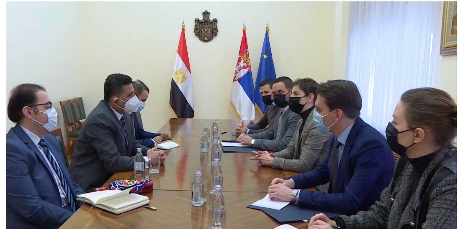 سفير مصر لدى بلجراد يلتقى رئيسة وزراء صربيا