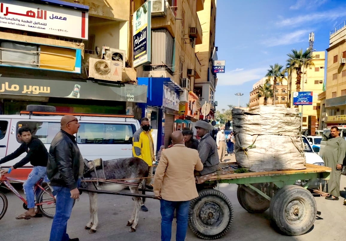 مصادرة عربات كارو فى حملات نظافة ورفع إشغالات بمدينة الأقصر