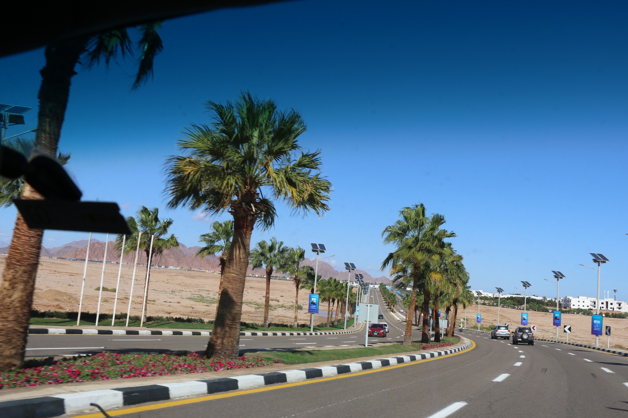 المحافظ يتابع إزالة آثار هطول الأمطار بكافة المدن (14)