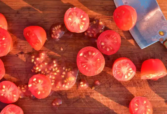 بذور الطماطم