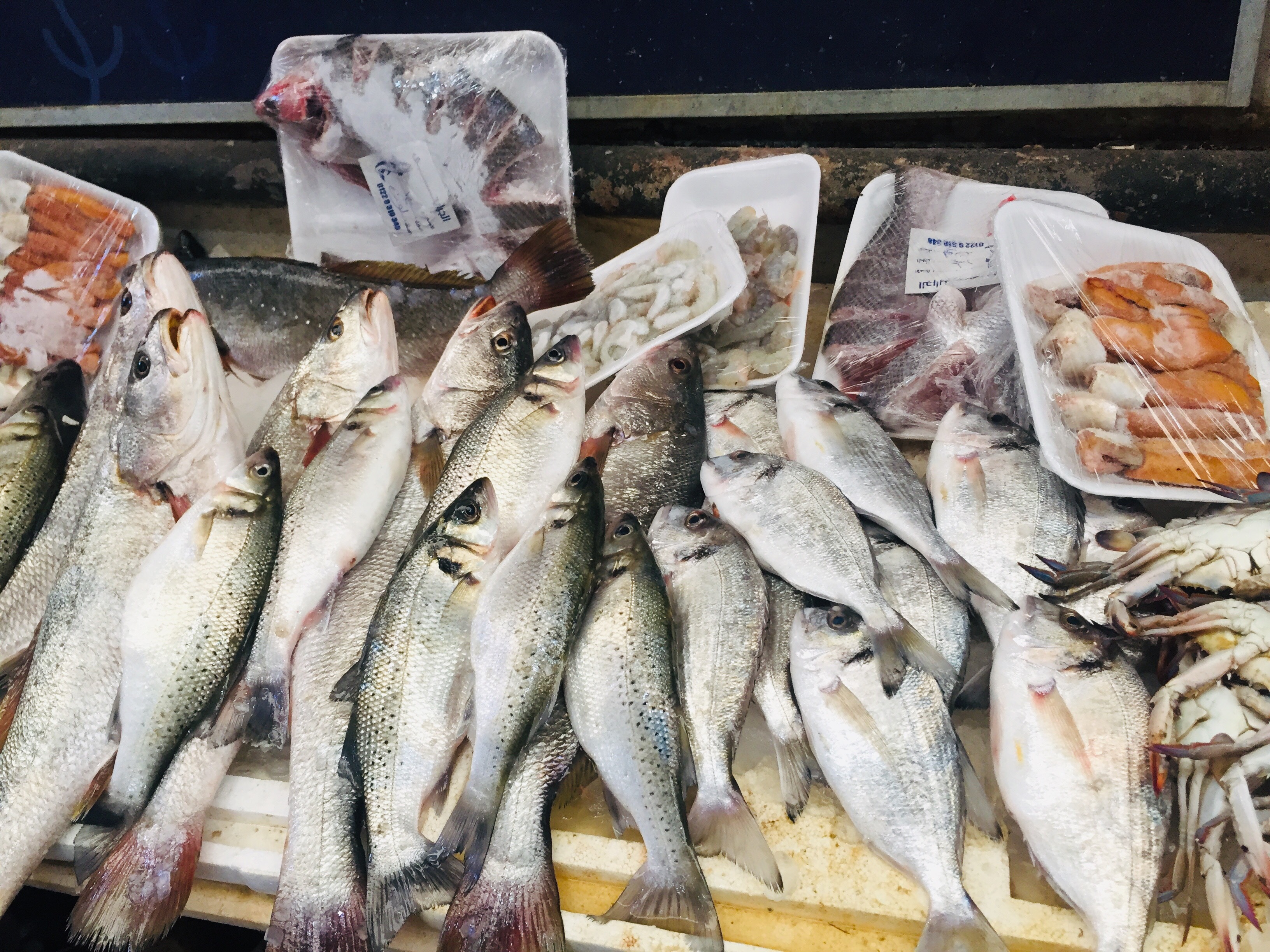  سوق الأسماك بالإسماعيلية (10)