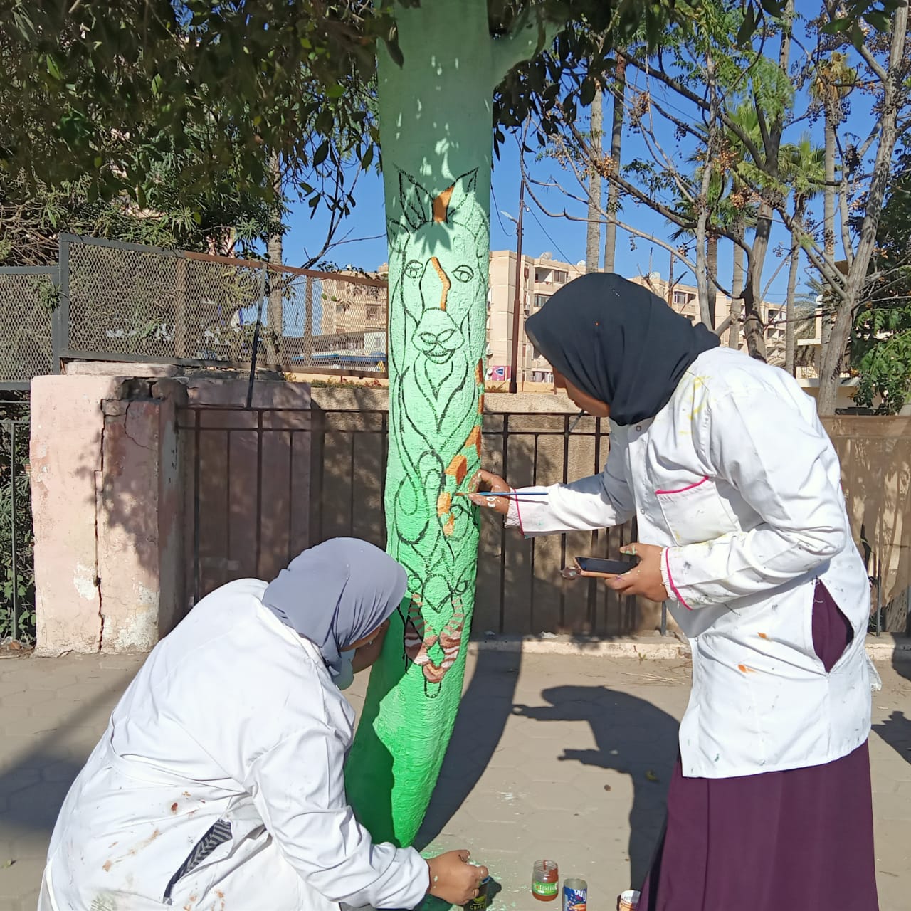 طالبات تربية نوعية كفر الشيخ يزينون الشوارع والأشجار (2)