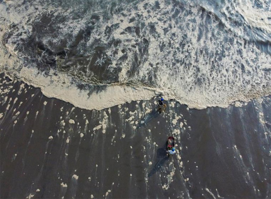 عمال يمشون عبر رغوة على شاطئ متأثر