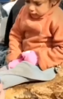 الطفلة السورية ترتجف من شدة البرد  (2)
