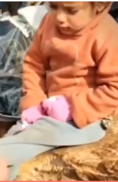 الطفلة السورية ترتجف من شدة البرد  (1)
