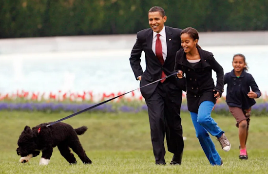 كلب أوباما