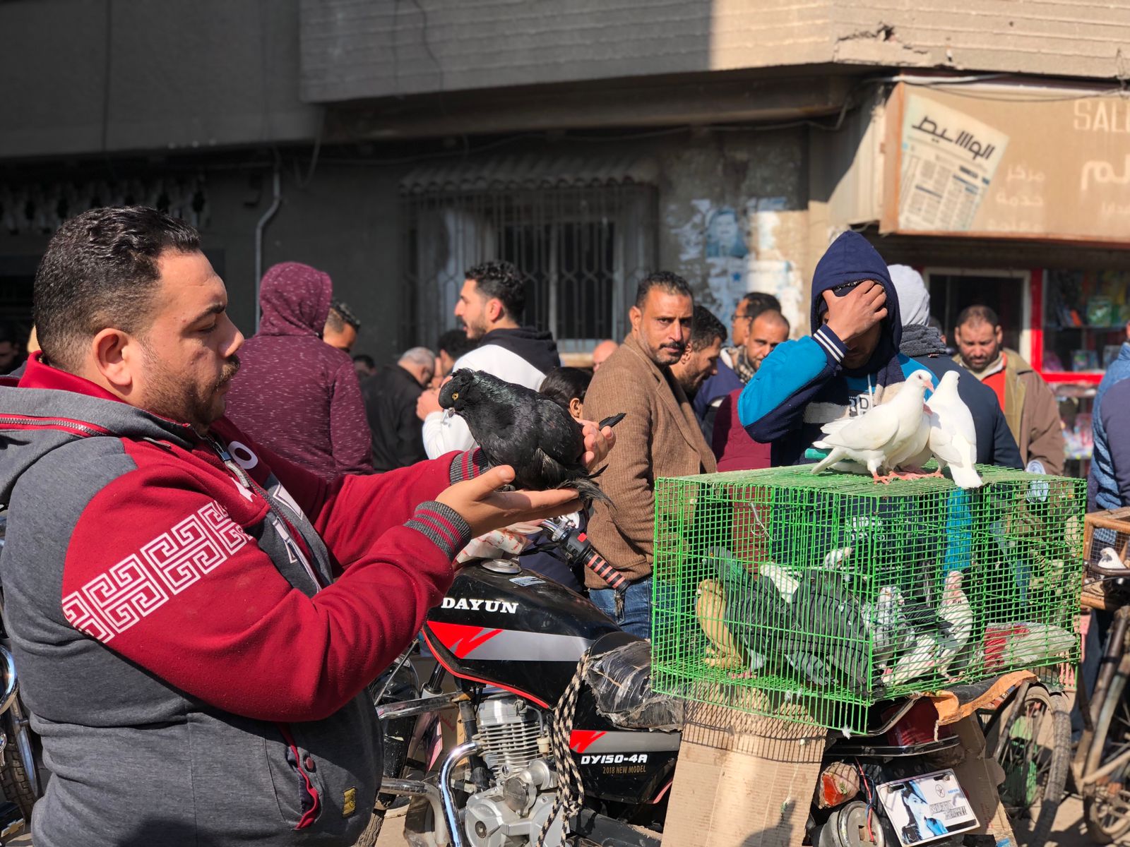  سوق الحمام بمدينة المنصورة (6)