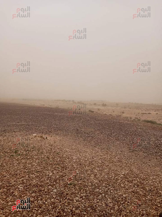 من-مشاهد-سقوط-المطر-بوسط-سيناء