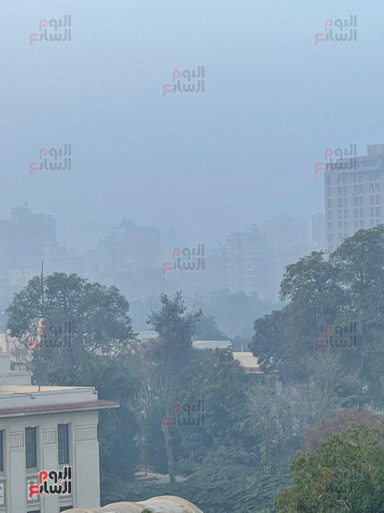 شبورة كثيفة تغطى سماء القاهرة والجيزة (2)
