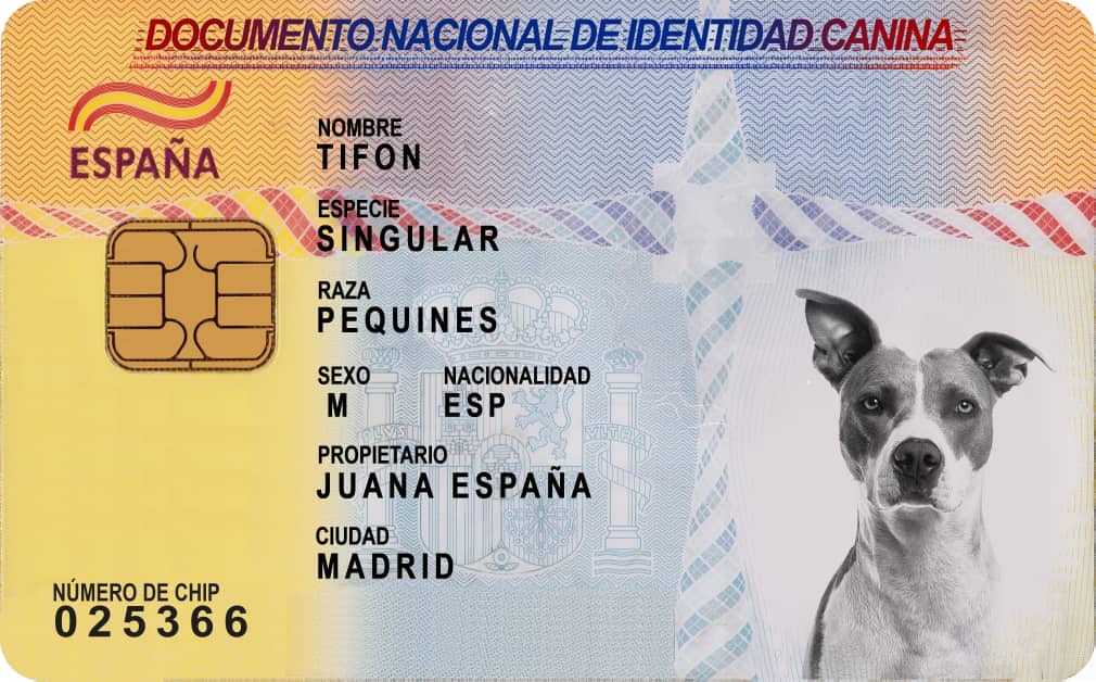 قانون بطاقة  الحيوانات الالكترونية فى اسبانيا