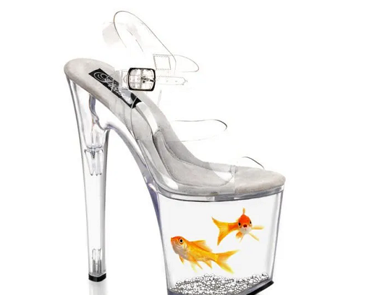 حذاء به حوض سمك