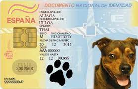 بطاقة الحيوانات