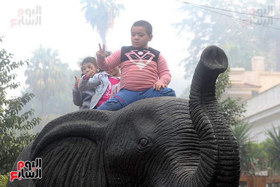 البهجة على وشوش الأطفال وهم على ظهر الفيل (2)