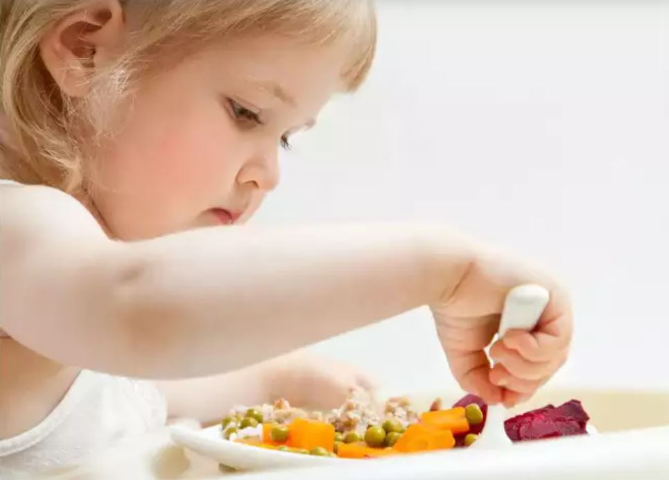 الاطعمة الصحية للكبار تناسب الاطفال خاصة فوق عامين