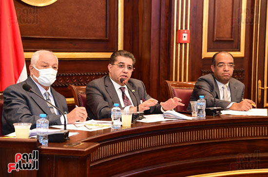 اجتماع لجنة الصحة بمجلس الشيوخ المنعقد لاستكمال مناقشة الدراسة المقدمة من النائبة سهير عبد السلام (7)