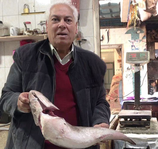 الخبير الطهورى عبدالعزيز الغالى يعرف بانواع الاسماك بسوق العريش