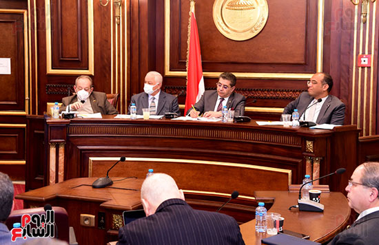 اجتماع لجنة الصحة بمجلس الشيوخ المنعقد لاستكمال مناقشة الدراسة المقدمة من النائبة سهير عبد السلام (4)