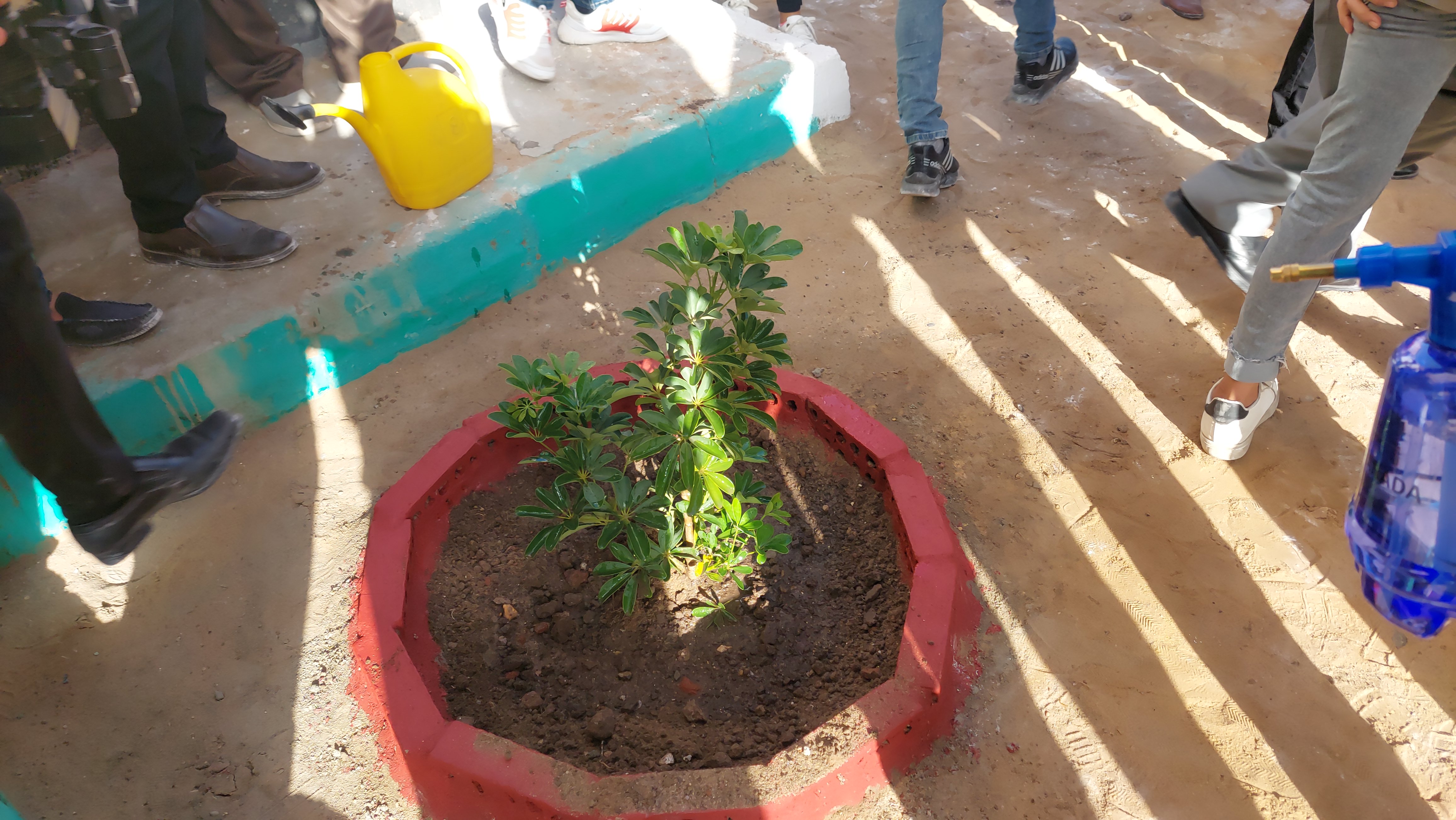 محافظ الغربية يشارك الطلاب زراعة أول شجرة فى المدارس (5)