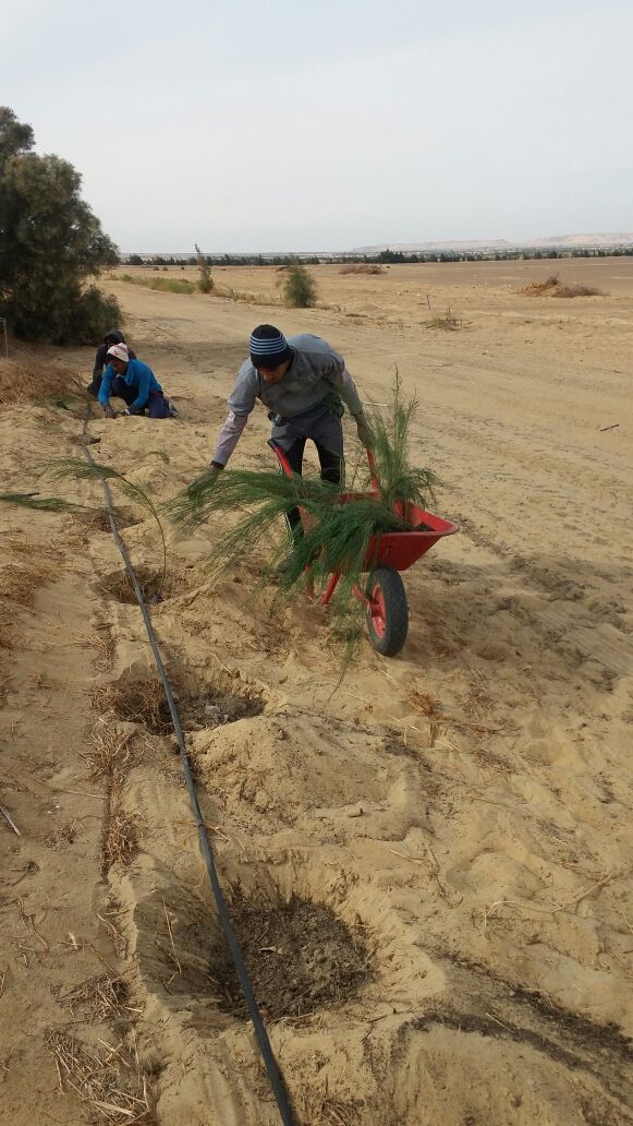 المشروع (2)