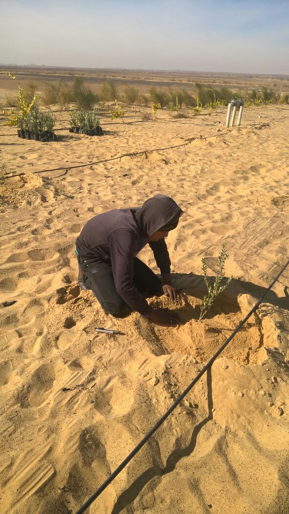 جانب من المشروع (1)