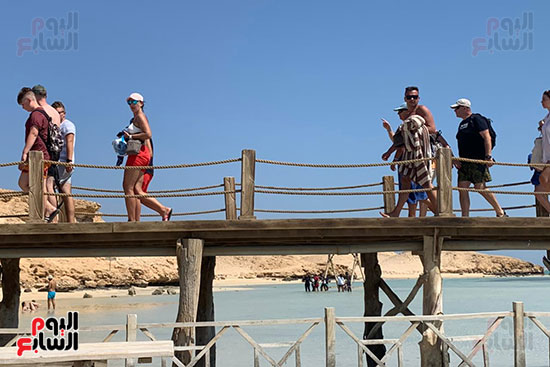 السياح فى الطريق للجفتون