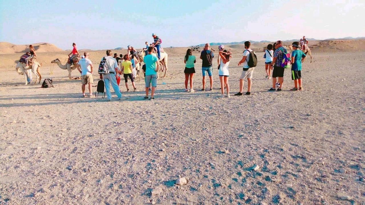 أماكن السياحة الصيفية في مصر  - رحلات السفاري وركوب الجمال