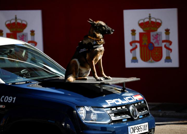كلب بوليسي إسباني يجلس على غطاء سيارة للشرطة خلال استعراض للاحتفال بالعيد الوطني للبلاد ، في مدريد ، إسبانيا ، 12 أكتوبر  تشرين الأول.