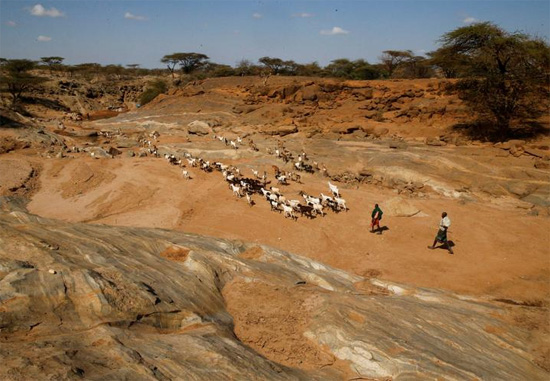 الجفاف يسيطر على كينيا