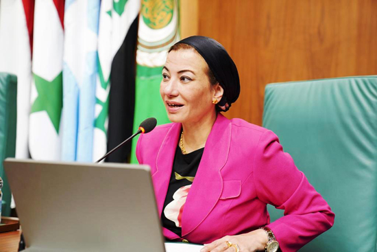مجلس وزراء البيئة العرب (2)