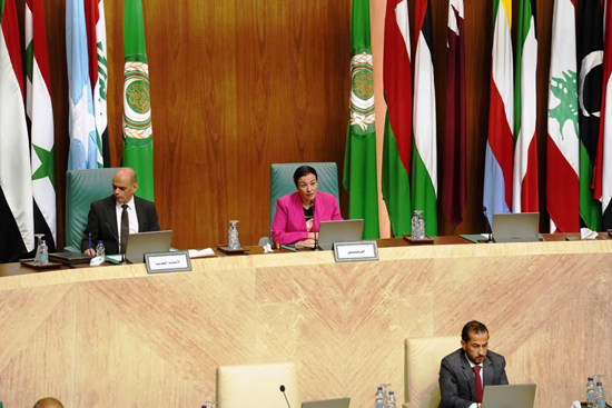 مجلس وزراء البيئة العرب (5)