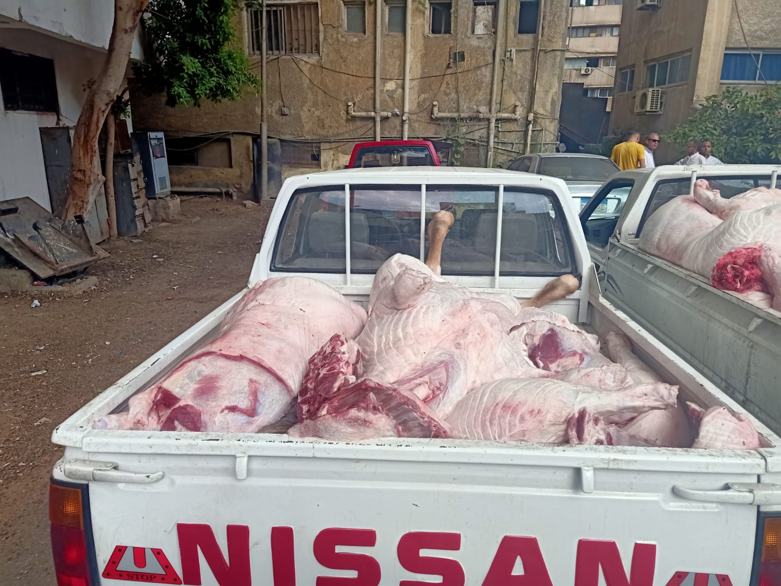 حملة تموينية لضبط اللحوم الفاسدة بالأسواق