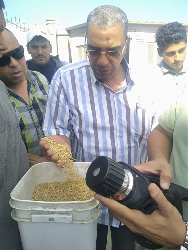 وكيل وزارة التموين يفحص توريد الأرز الشعير بمضرب بورسعيد