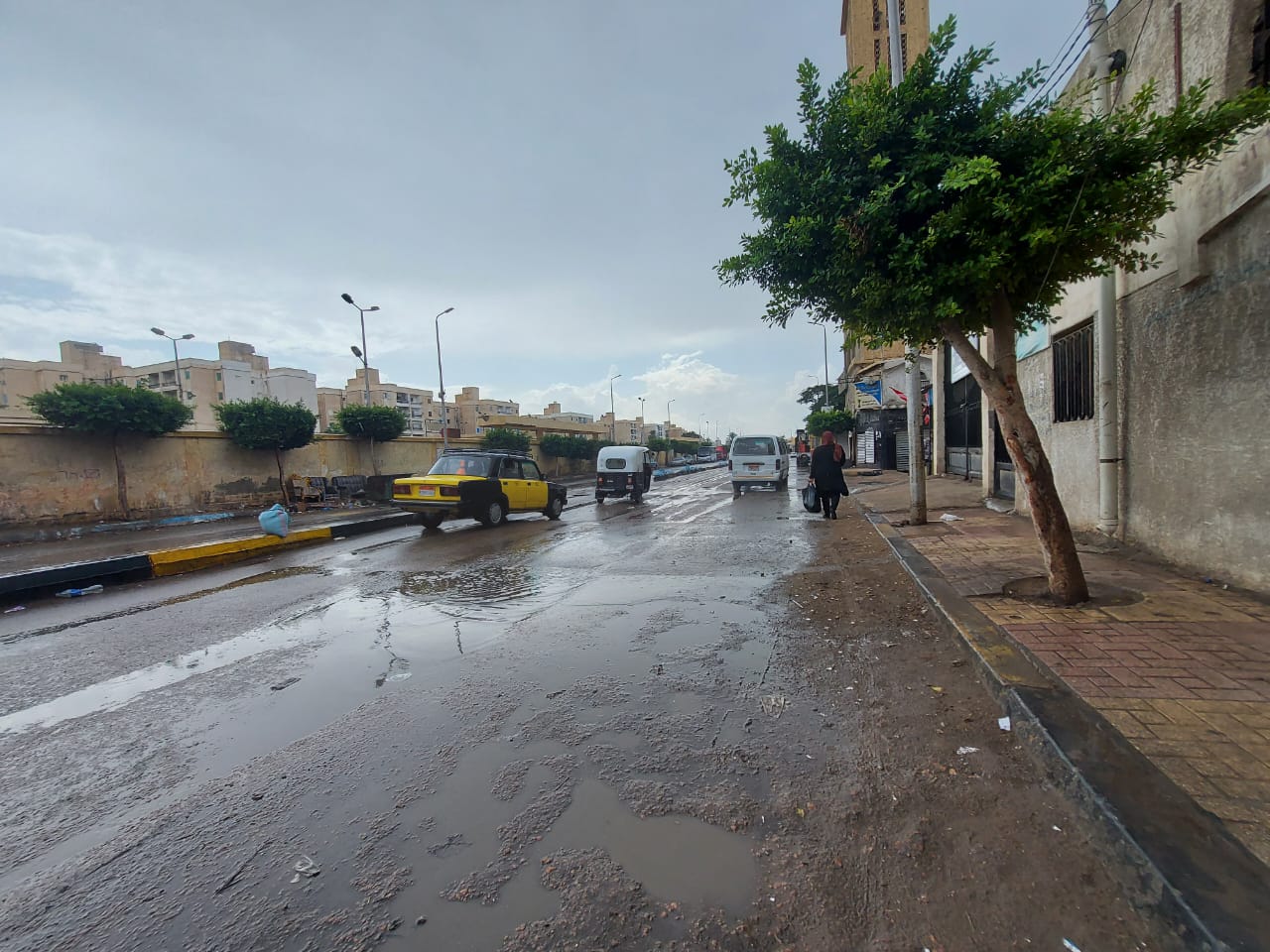 هطول أمطار متوسطة على الإسكندرية (1)