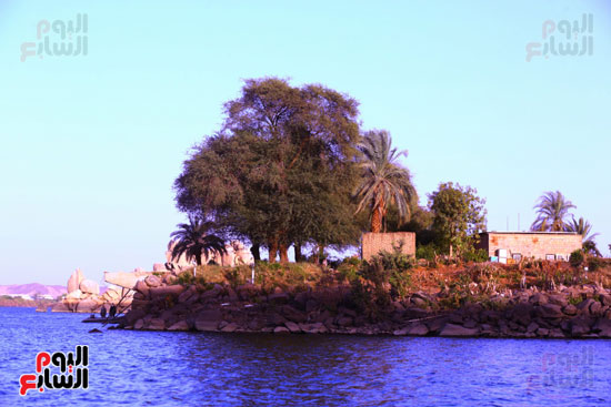 نهر النيل بالأقصر (22)
