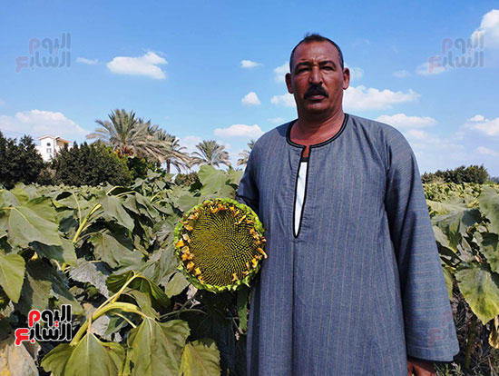 السيد-يوسف-مزارع-من-كفر-صقر