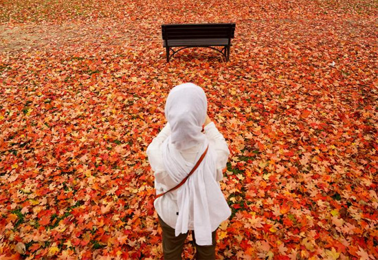 امرأة تصور ألوان الخريف الزاهية للأوراق المتساقطة من شجرة في ناشونال مول في واشنطن