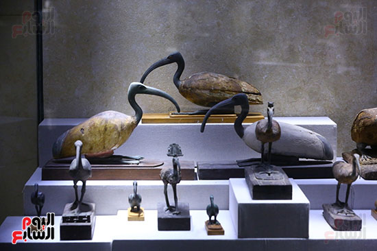 مقتنيات متحف شرم الشيخ (4)