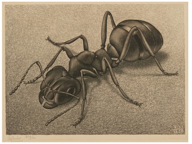 لوحة النملة