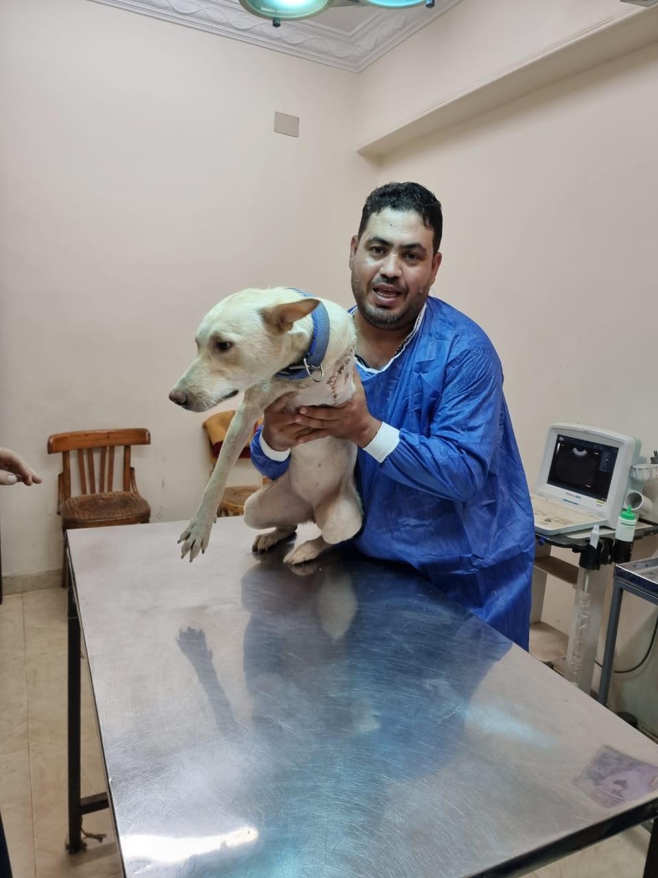 جراحة عاجلة تنقذ كلب شارع (7)