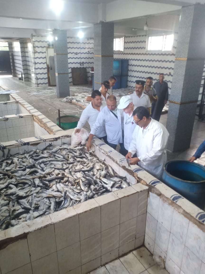 ضبط 1500 طن من الأسماك المدخنة وتحرير 5 محاضر خلال حملات تفتيشية بالغربية (2)