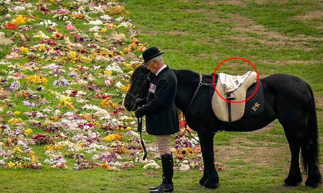 الحصان فى جنازة الملكة اليزابيث