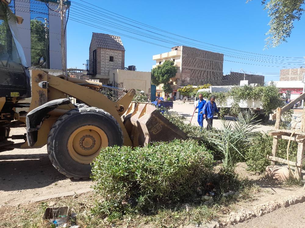 العمل فى تهذيب الأشجار بمدينة الطود الجديدة
